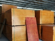 沈阳泰山水龙头水槽 生态建材的健康生活新选择